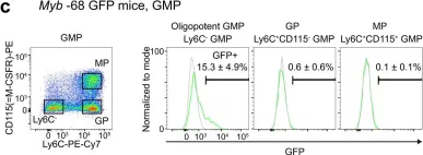 Fig.2.C showing Flow cytometry/Cell sorting in a Mus musculus (House mouse) sample from the publication: A Myb enhancer-guided analysis of basophil and mast cell differentiation.