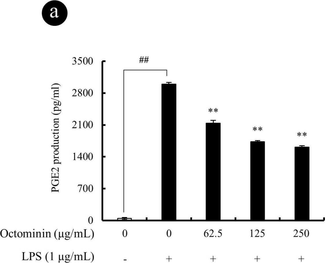 Fig.3.A showing Enzyme-linked immunosorbent assay from the publication: Octominin Inhibits LPS-Induced Chemokine and Pro-inflammatory Cytokine Secretion from RAW 264.7 Macrophages via Blocking TLRs/NF-κB Signal Transduction.