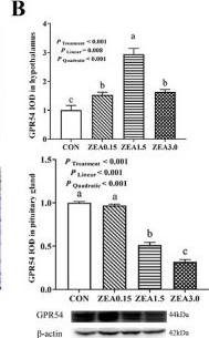 Fig.3.B showing Western Blotting from the publication: Effects of Zearalenone on the Kiss1/GPR54 System and Related Genes Expression in the Hypothalamus and Pituitary Gland of Weaned Gilts.