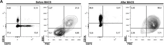 Fig.2.A showing Flow cytometry/Cell sorting from the publication: CD73 Activity is Dispensable for the Polarization of M2 Macrophages.