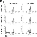 Fig.6.B showing Flow cytometry/Cell sorting from the publication: Transient combination therapy targeting the immune synapse abrogates T cell responses and prolongs allograft survival in mice.