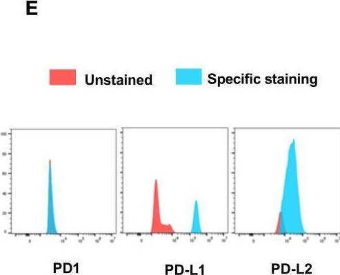 Fig.2.E showing Flow cytometry/Cell sorting from the publication: Immune Checkpoint and Telomerase Crosstalk Is Mediated by miRNA-138 in Bladder Cancer.