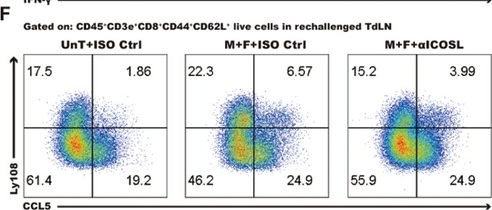 Fig.7.F showing Flow cytometry/Cell sorting in a Mus musculus (House mouse) sample from the publication: Microwave Ablation Combined with Flt3L Provokes Tumor-Specific Memory CD8+ T Cells-Mediated Antitumor Immunity in Response to PD-1 Blockade.
