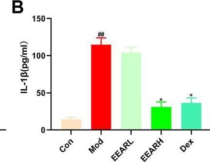 Fig.2.B showing Enzyme-linked immunosorbent assay from the publication: Therapeutic effects and mechanism of Atractylodis rhizoma in acute lung injury: Investigation based on an Integrated approach.