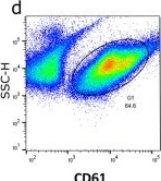 Fig.2.D showing Flow cytometry/Cell sorting from the publication: Hysteroscopic injections of autologous endometrial cells and platelet-rich plasma in patients with thin endometrium: a pilot randomized study.