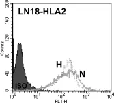 Fig.7.D showing Flow cytometry/Cell sorting in a Homo sapiens (Human) sample from the publication: Differential glioma-associated tumor antigen expression profiles of human glioma cells grown in hypoxia.