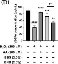 Fig.6.D showing Enzyme-linked immunosorbent assay from the publication: Bioconverted Blueberry Extract Potentiates the Angiogenic and Endothelial Functions in Human Dermal Microvascular Endothelial Cells Under Oxidative Stress.