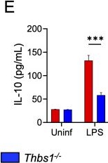 Fig.4.E showing Enzyme-linked immunosorbent assay from the publication: Myeloid-derived interleukin-10 induced by thrombospondin-1 mediates host defense and regulates inflammation during acute bacterial lung infection.