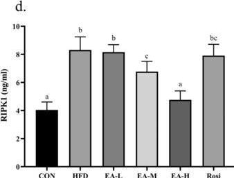 Fig.4.D showing Enzyme-linked immunosorbent assay from the publication: Ellagic Acid Modulates Necroptosis, Autophagy, Inflammations, and Stress to Ameliorate Nonalcoholic Liver Fatty Disease in a Rat Model.