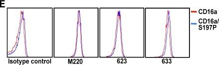 Fig.4.E showing Flow cytometry/Cell sorting in a Homo sapiens (Human) sample from the publication: Identification of an ADAM17 cleavage region in human CD16 (FcγRIII) and the engineering of a non-cleavable version of the receptor in NK cells.