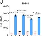 Fig.2.J showing Enzyme-linked immunosorbent assay from the publication: RSV temporally reprograms apoptosis and pyroptosis to balance immune evasion and replication.