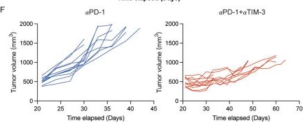 Fig.2.F showing Flow cytometry/Cell sorting in a Homo sapiens (Human) sample from the publication: Dual blockades of TIM-3 and PD-1 effectively prevent hyper-progression and enhance the efficacy of anti-PD-1 therapy in high-grade serous ovarian cancer.
