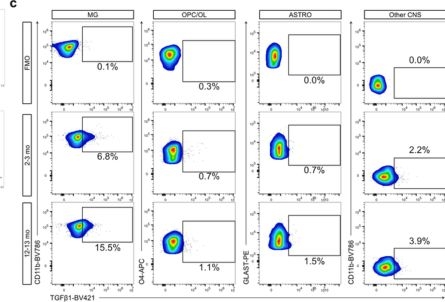 Fig.3.C showing Flow cytometry/Cell sorting from the publication: TGFβ signaling mediates microglial resilience to spatiotemporally restricted myelin degeneration.