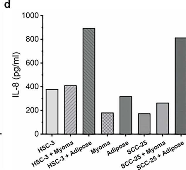Fig.4.D showing Enzyme-linked immunosorbent assay from the publication: Adipocytes enhance tongue cancer progression potentially via IL-6 and extracellular vesicles.