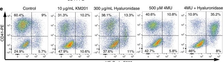 Fig.9.E showing Flow cytometry/Cell sorting in a Mus musculus (House mouse) sample from the publication: Single-cell transcriptomics identifies CD44 as a marker and regulator of endothelial to haematopoietic transition.