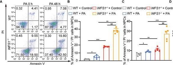 Fig.3.A showing Flow cytometry/Cell sorting in a Mus musculus (House mouse) sample from the publication: The WFS1-ZnT3-Zn2+ Axis Regulates the Vicious Cycle of Obesity and Depression.