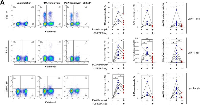 Fig.2.A showing Flow cytometry/Cell sorting in a Homo sapiens (Human) sample from the publication: Clonorchis sinensis excretory/secretory proteins ameliorate inflammation in rheumatoid arthritis and ankylosing spondylitis.