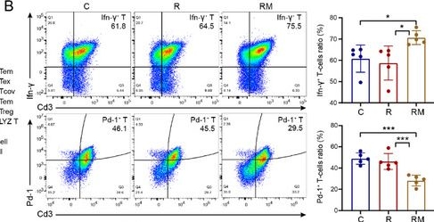 Fig.6.B showing Flow cytometry/Cell sorting in a Mus musculus (House mouse) sample from the publication: A Novel Self-Regulated, Non-Directional Magnetic Thermos-Brachytherapy 125I Seed Enhances Anticancer Efficacy by Rescuing Immune Escape.