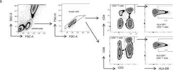 Fig.5.B showing Flow cytometry/Cell sorting from the publication: Low Dietary Fiber Intake Links Development of Obesity and Lupus Pathogenesis.