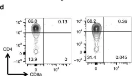 Fig.2.D showing Flow cytometry/Cell sorting from the publication: Stage-specific epigenetic regulation of CD4 expression by coordinated enhancer elements during T cell development.
