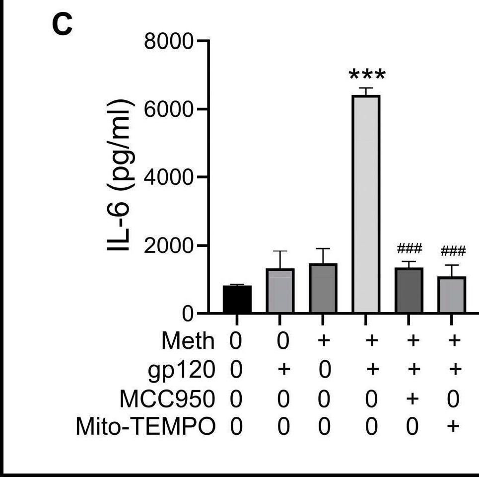 Fig.5.C showing Enzyme-linked immunosorbent assay from the publication: Methamphetamine Enhancement of HIV-1 gp120-Mediated NLRP3 Inflammasome Activation and Resultant Proinflammatory Responses in Rat Microglial Cultures.