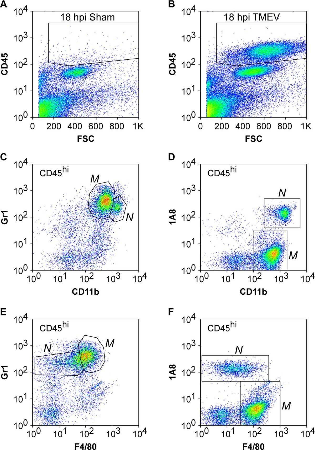 Fig.2.A showing Flow cytometry/Cell sorting in a Mus musculus (House mouse) sample from the publication: Inflammatory monocytes damage the hippocampus during acute picornavirus infection of the brain.