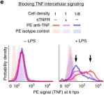 Fig.1.E showing Flow cytometry/Cell sorting from the publication: Macrophages employ quorum licensing to regulate collective activation.