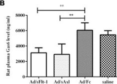 Fig.7.B showing Enzyme-linked immunosorbent assay from the publication: Elevated Levels of Soluble Axl (sAxl) Regulates Key Angiogenic Molecules to Induce Placental Endothelial Dysfunction and a Preeclampsia-Like Phenotype.
