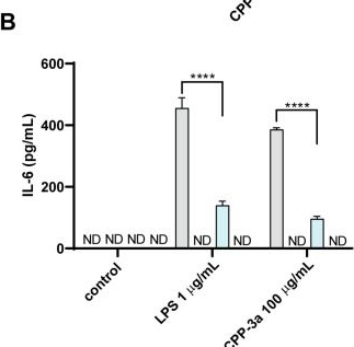 Fig.2.B showing Enzyme-linked immunosorbent assay from the publication: Chlorella pyrenoidosa Polysaccharide CPP-3a Promotes M1 Polarization of Macrophages via TLR4/2-MyD88-NF-κB/p38 MAPK Signaling Pathways.