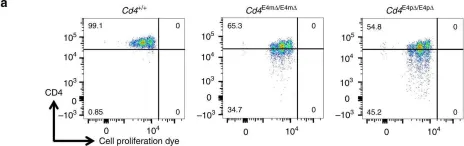 Fig.5.A showing Flow cytometry/Cell sorting from the publication: Stage-specific epigenetic regulation of CD4 expression by coordinated enhancer elements during T cell development.