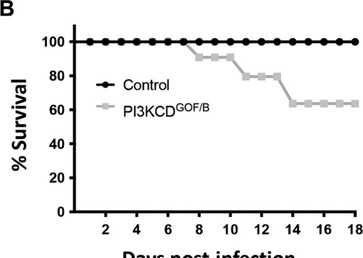 Fig.1.B from the publication: PI3Kdelta-driven expansion of regulatory B cells impairs protective immune responses to Trypanosoma congolense parasite infection.