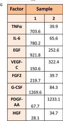 Fig.5.G from the publication: Fibroblast growth factors induce hepatic tumorigenesis post radiofrequency ablation.