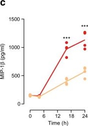 Fig.3.C showing Enzyme-linked immunosorbent assay from the publication: IFNɣ but not IFNα increases recognition of insulin defective ribosomal product-derived antigen to amplify islet autoimmunity.