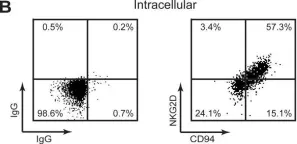 Fig.4.B showing Flow cytometry/Cell sorting from the publication: Regulation and gene expression profiling of NKG2D positive human cytomegalovirus-primed CD4+ T-cells.
