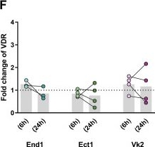 Fig.6.F from the publication: Vitamin D boosts HIV-1 resistance in female genital epithelial cells by enhancing antiviral cathelicidin expression.