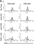 Fig.6.A showing Flow cytometry/Cell sorting from the publication: Transient combination therapy targeting the immune synapse abrogates T cell responses and prolongs allograft survival in mice.