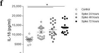 Fig.2.F showing Enzyme-linked immunosorbent assay from the publication: Beneficial Effects of Mineralocorticoid Receptor Pathway Blockade against Endothelial Inflammation Induced by SARS-CoV-2 Spike Protein.