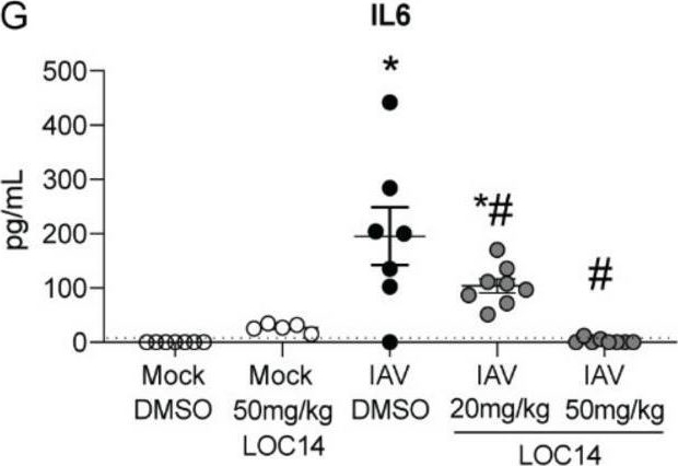 Fig.3.G from the publication: Protein Disulfide Isomerase A3 Regulates Influenza Neuraminidase Activity and Influenza Burden in the Lung.