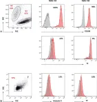 Fig.2.A showing Flow cytometry/Cell sorting in a Homo sapiens (Human) sample from the publication: Modelization of Blood-Borne Hypercoagulability in Myeloma: A Tissue-Factor-Bearing Microparticle-Driven Process.
