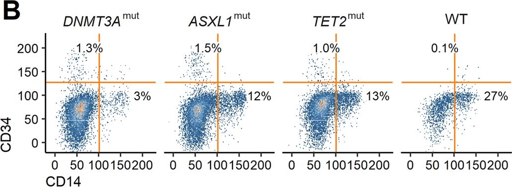 Fig.3.B showing Flow cytometry/Cell sorting from the publication: Modeling clonal hematopoiesis in umbilical cord blood cells by CRISPR/Cas9.