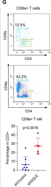 Fig.1.G showing Flow cytometry/Cell sorting in a Mus musculus (House mouse) sample from the publication: SQLE-mediated squalene metabolism promotes tumor immune evasion in pancreatic cancer.