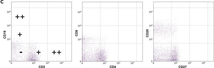 Fig.4.C showing Flow cytometry/Cell sorting in a Mus musculus (House mouse) sample from the publication: VoxelCoder: Classification of human cellular phenotypes via autoencoder batch alignment and hyperdimensional representation of cytometry data.