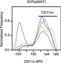 Fig.6.J showing Flow cytometry/Cell sorting in a Mus musculus (House mouse) sample from the publication: GPSM1 impairs metabolic homeostasis by controlling a pro-inflammatory pathway in macrophages.