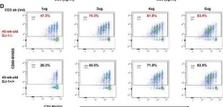 Fig.4.D showing Flow cytometry/Cell sorting in a Mus musculus (House mouse) sample from the publication: DJ-1 depletion prevents immunoaging in T-cell compartments.