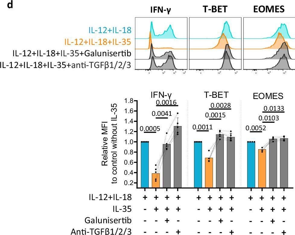 Fig.6.D from the publication: Interleukin-35 impairs human NK cell effector functions and induces their ILC1-like conversion with tissue residency features.