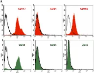 Fig.2.A showing Flow cytometry/Cell sorting in a Sus scrofa domesticus (Domestic pig) sample from the publication: Isolation and characterization of porcine amniotic fluid-derived multipotent stem cells.