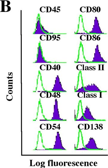 Fig.1.B showing Flow cytometry/Cell sorting in a Mus musculus (House mouse) sample from the publication: Molecular and cytological features of the mouse B-cell lymphoma line iMycEmu-1.
