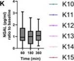 Fig.5.K showing Enzyme-linked immunosorbent assay from the publication: Optimizing Prolonged (6 h) Normothermic Machine Perfusion of Donor Kidneys (PROPER Study).