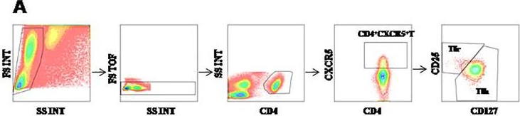 Fig.1.A showing Flow cytometry/Cell sorting in a Homo sapiens (Human) sample from the publication: Significant decreased CXCR3+ phenotype Tfh1 cells in three Good's syndrome patients.