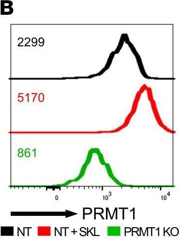 Fig.6.B showing Flow cytometry/Cell sorting in a Homo sapiens (Human) sample from the publication: Wnt activation promotes memory T cell polyfunctionality via epigenetic regulator PRMT1.